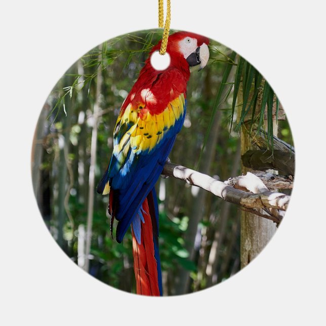 Adorno De Cerámica Stunlet Scarlet Macaw Parrot (Frente)