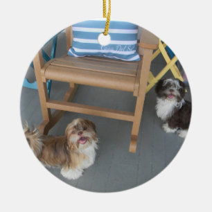 Adorno De Cerámica Su Mascota Ornament