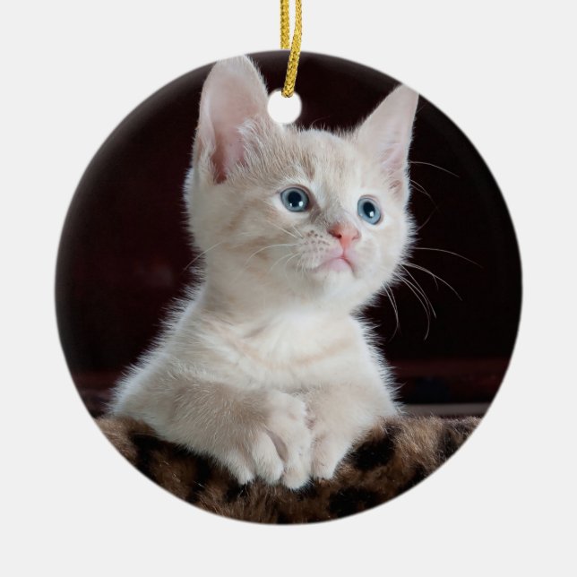 Adorno De Cerámica Su personalizado de la foto (Frente)