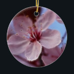 Adorno De Cerámica Suavidad de primaveras<br><div class="desc">Flor rosado delicado de la primavera corregido suavemente con Fractalius.</div>