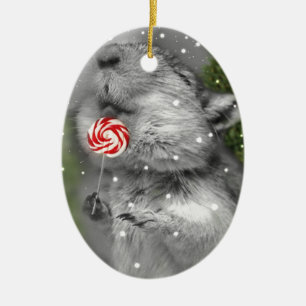 Adorno De Cerámica Sueño del navidad del Gerbil