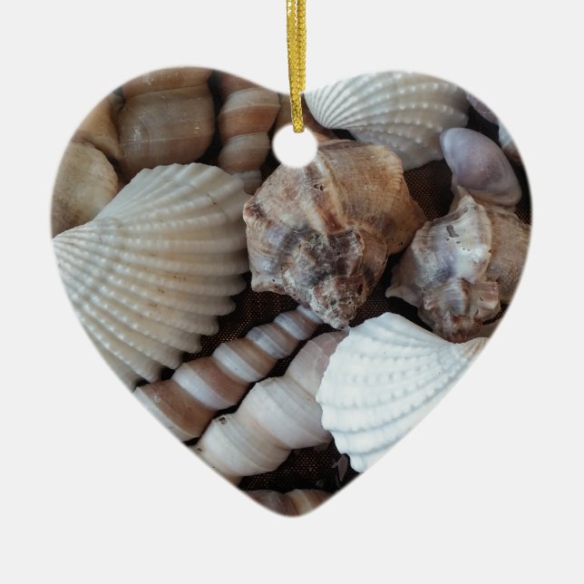 Adorno De Cerámica Sunny Seashells Colección Naturaleza Verano (Frente)