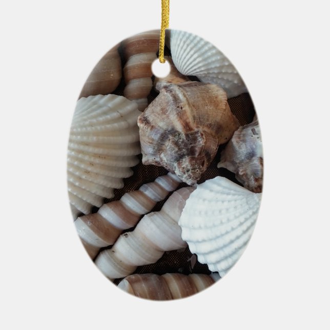 Adorno De Cerámica Sunny Seashells Colección Naturaleza Verano (Frente)