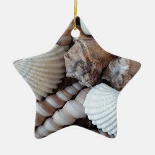 Adorno De Cerámica Sunny Seashells Colección Naturaleza Verano