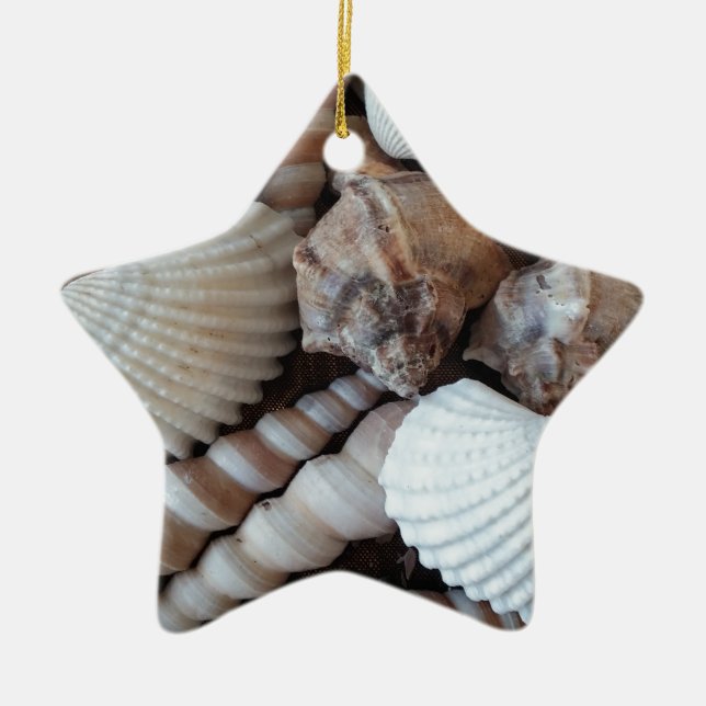 Adorno De Cerámica Sunny Seashells Colección Naturaleza Verano (Frente)