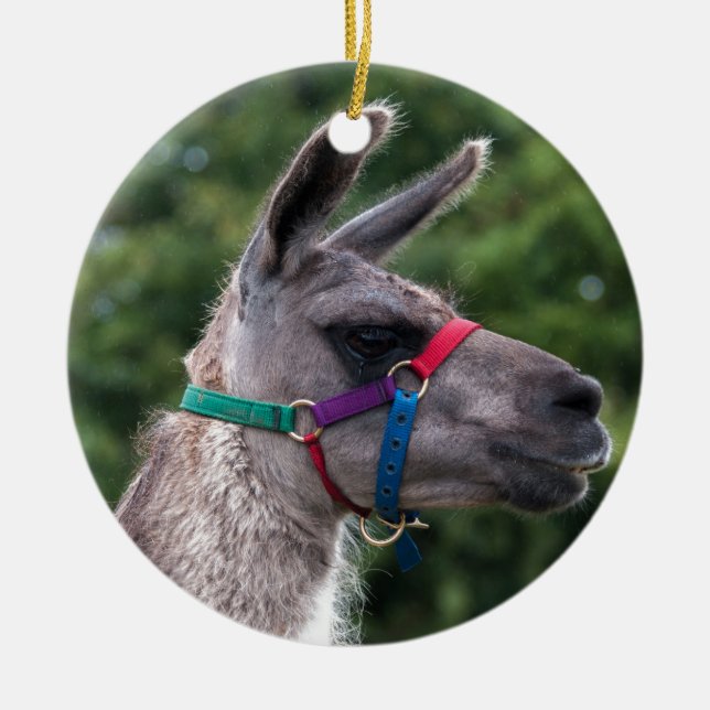 Adorno De Cerámica Superioridad de Llama (Frente)