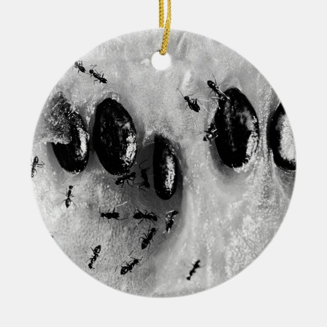 Adorno De Cerámica surfear (Frente)