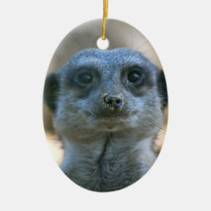 Adorno De Cerámica Suricata