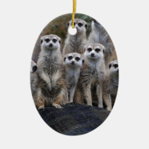 Adorno De Cerámica Suricata safari de animales África lindo