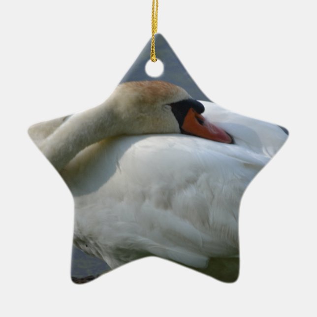 Adorno De Cerámica Swan (Frente)