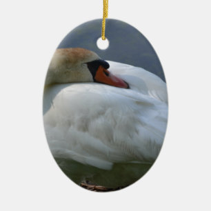 Adorno De Cerámica Swan