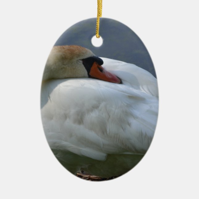 Adorno De Cerámica Swan (Frente)