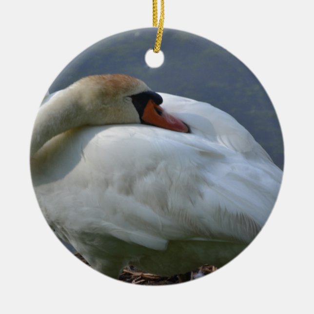 Adorno De Cerámica Swan (Frente)