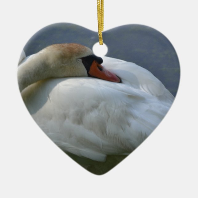 Adorno De Cerámica Swan (Frente)