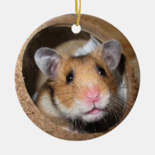 Adorno De Cerámica Syrian Pet Hamster - Standard Hamster - Teddy Bear
