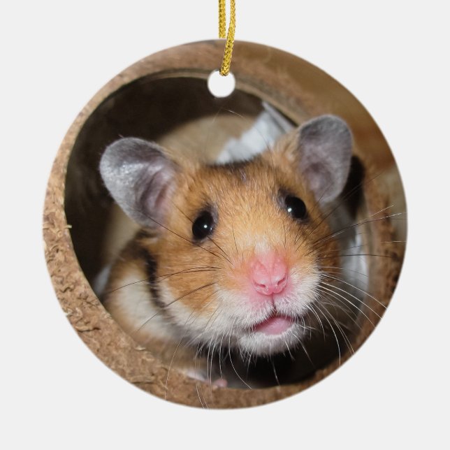 Adorno De Cerámica Syrian Pet Hamster - Standard Hamster - Teddy Bear (Frente)