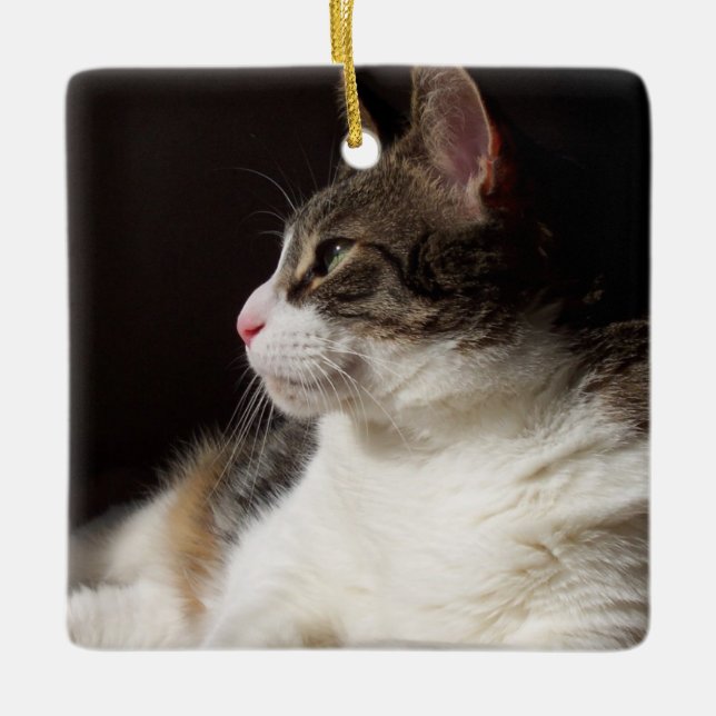 Adorno De Cerámica Tabby (Anverso)