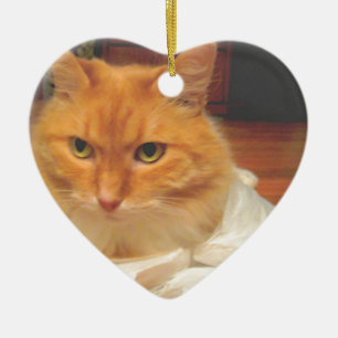 Adorno De Cerámica Tabby anaranjado