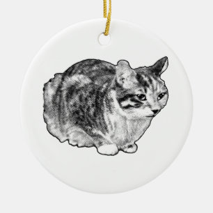 Adorno De Cerámica Tabby Antiguo con Puntos Estrellados