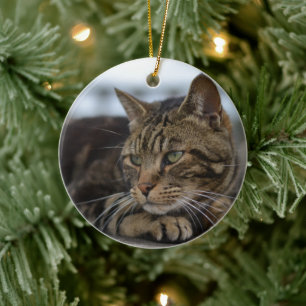 Adorno De Cerámica Tabby cat listo para la acción