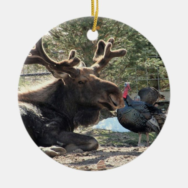 Adorno De Cerámica Tahoma & Eugene 2020 Ceramic Ornament (Frente)