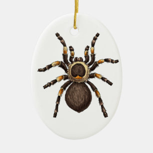 Adorno De Cerámica Tarantula