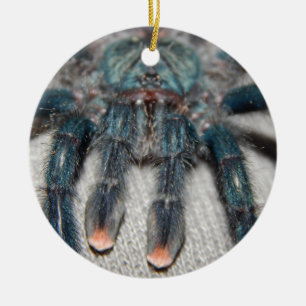 Adorno De Cerámica tarántula azul