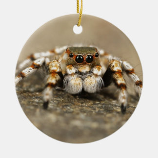 Adorno De Cerámica Tarantula Jumping Bird Spider accesorios impresion