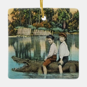 Adorno De Cerámica Tarjeta divertida Ride'um Gator