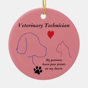 Adorno De Cerámica Técnico de veterinaria - Impresiones de pintura en
