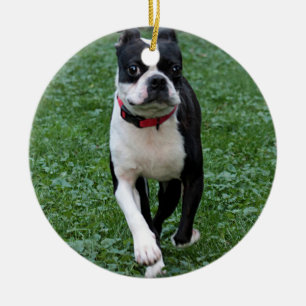 Adorno De Cerámica Terrier de Boston