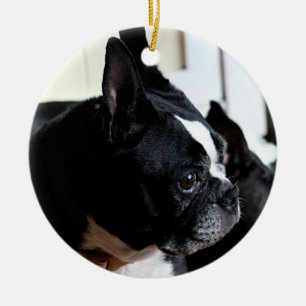 Adorno De Cerámica Terrier de Boston
