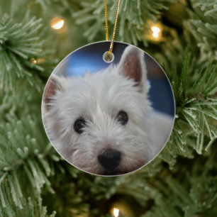 Adorno De Cerámica Terrier occidental pestie ultracompacto