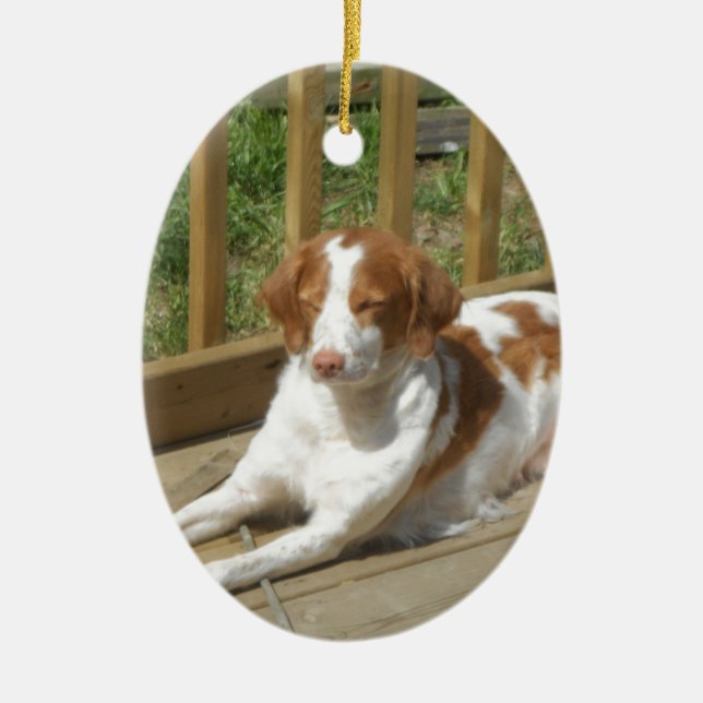 Adorno De Cerámica Tessa mi pequeño perrito (Frente)