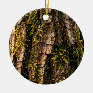 Adorno De Cerámica Textura de corteza de árbol musgoso del bosque