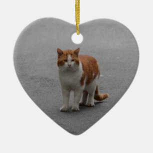 Adorno De Cerámica Thomas Ginger Y Gato Blanco