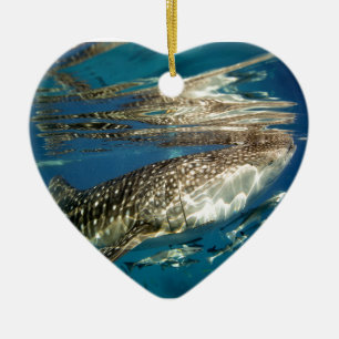 Adorno De Cerámica Tiburón ballena y pez rémora