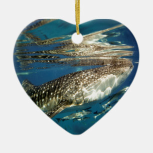 Adorno De Cerámica Tiburón ballena y pez reora