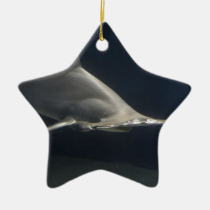 Adorno De Cerámica Tiburón de Hammerhead