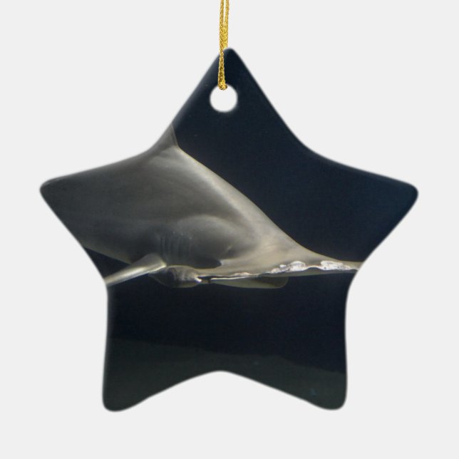 Adorno De Cerámica Tiburón de Hammerhead (Frente)