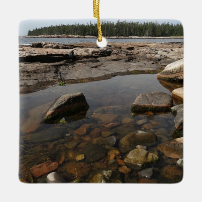 Adorno De Cerámica Tidepool en Wonderland, Parque Nacional Acadia (Anverso)