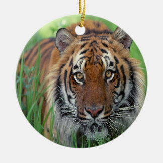 Adorno De Cerámica Tigre