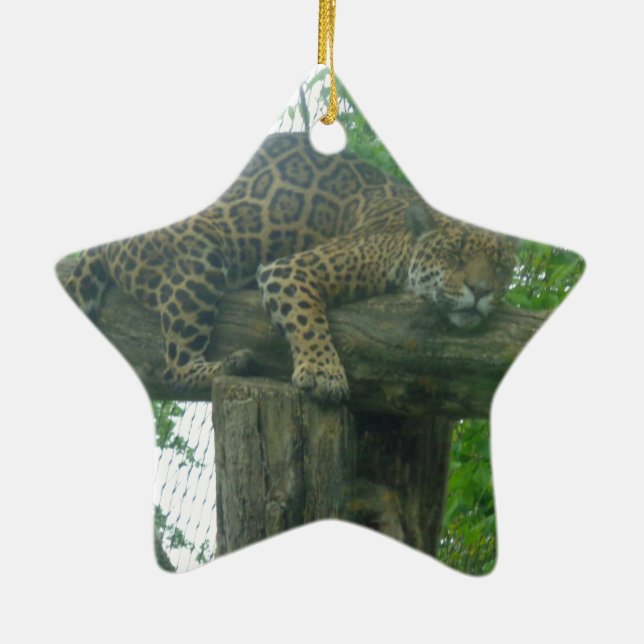 Adorno De Cerámica Tigre durmiente sobre árboles, bosques, naturaleza (Atrás)