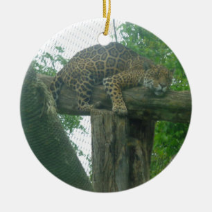 Adorno De Cerámica Tigre durmiente sobre árboles, bosques, naturaleza