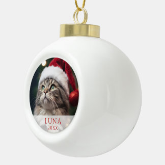 Adorno De Cerámica Tipo Bola Adorno de Bola de Foto de Gato con Árbol Detrás