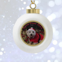 ¡Adorno para mascotas! Santa Paws divertido! Bola 