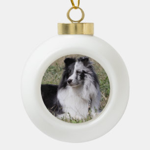 Adorno De Cerámica Tipo Bola BI Merle azul Sheltie con la cara de la fractura