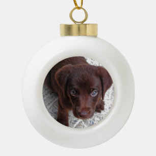 Adorno De Cerámica Tipo Bola Cachorro