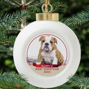 Adorno De Cerámica Tipo Bola Cachorro Bulldog Adorable 1er Navidad Foto Mascota