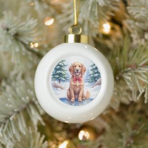 Adorno De Cerámica Tipo Bola Cocker Spaniel Americano de Agua Estanque Congelad
